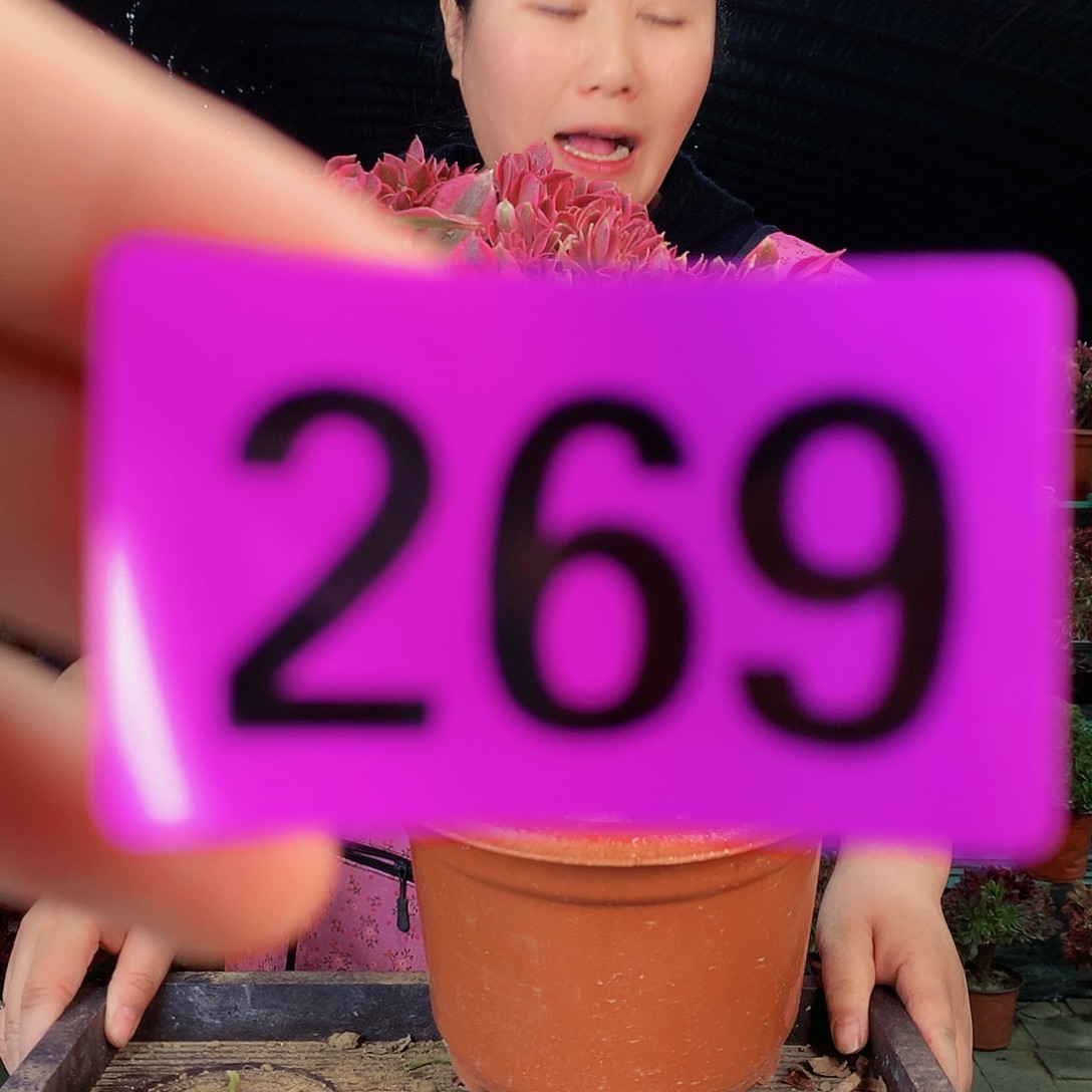 Sssssssssssssssss269