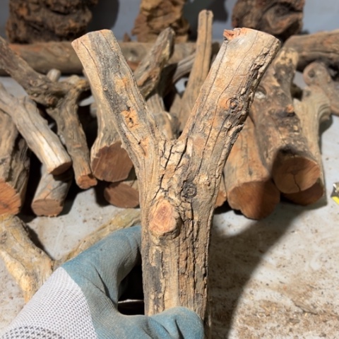 ****#大果紫檀（缅甸花梨）