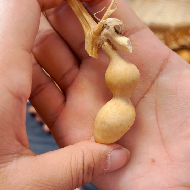 星**眠888888888889888888888