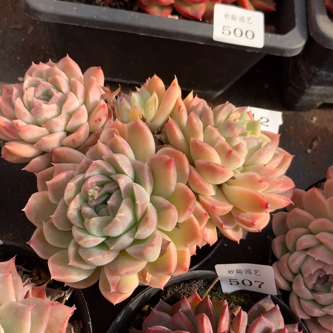 512新年快乐发发发