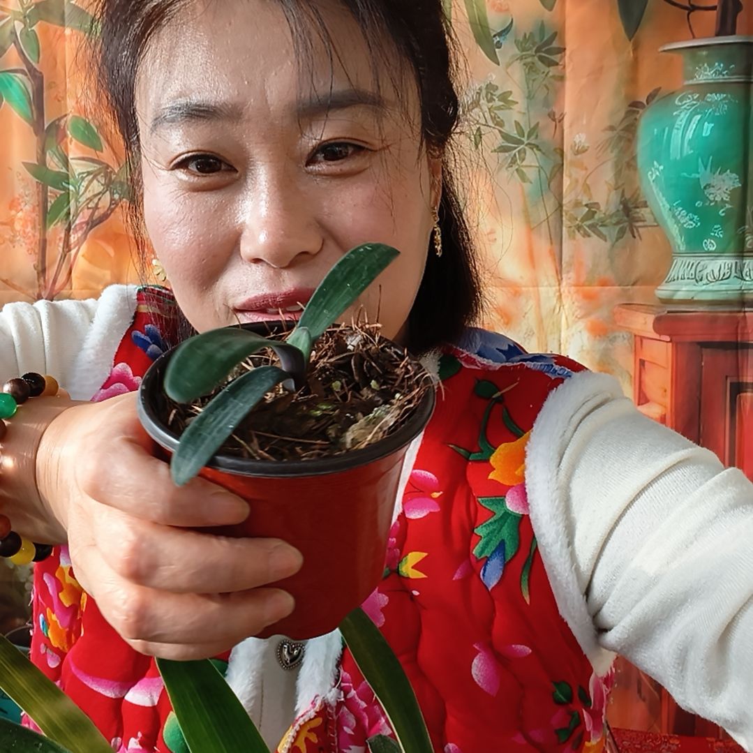 火***6完全开放花卉开花啦