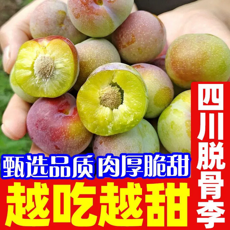 四川青红脆小脆红李脱骨纯甜新鲜脆甜多汁当季现摘爽口应季水果
