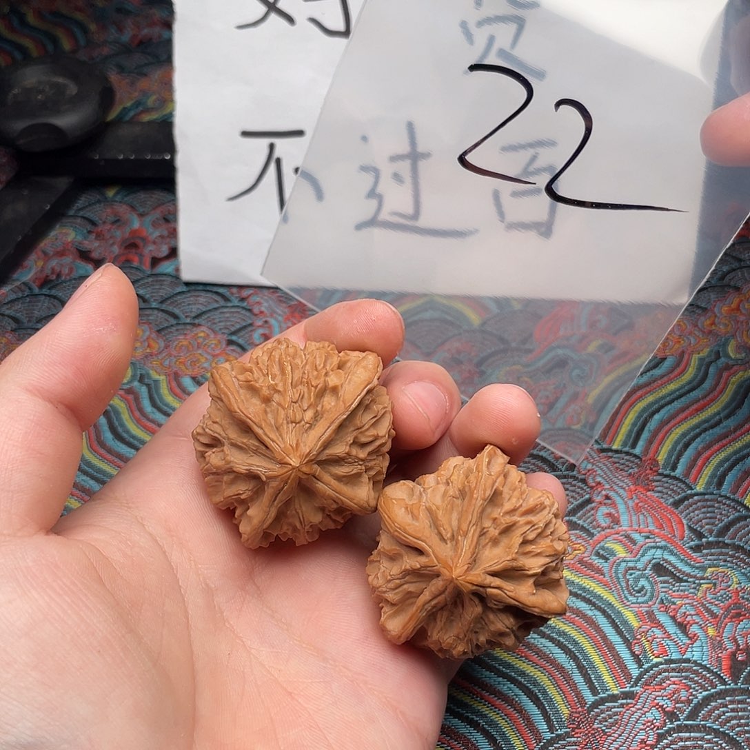 核桃哈哈哈哈哈哈哈哈哈哈哈