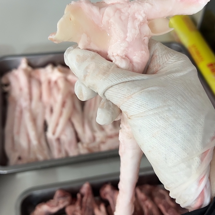 猪心管（冷冻一个月）中国大陆