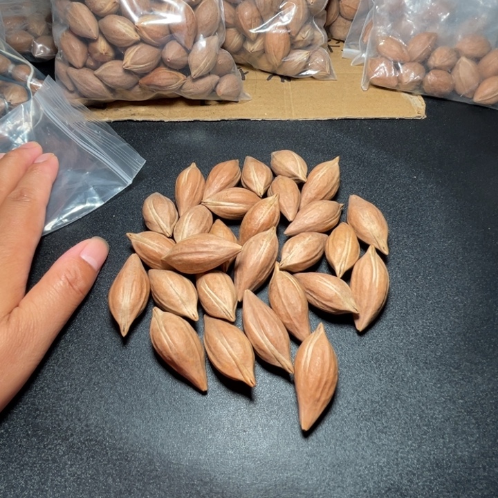 白***飞猪牙手串/手链我是