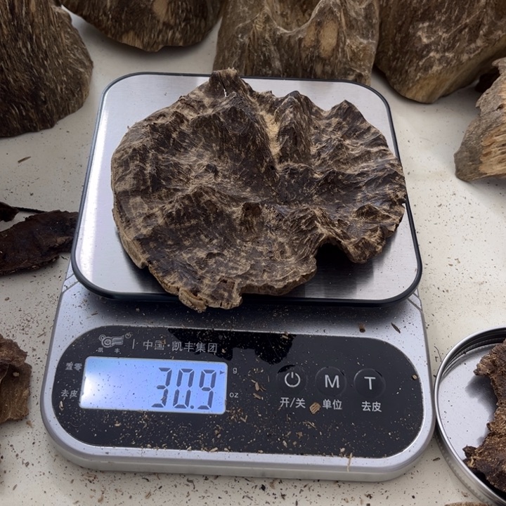 沉香摆件海南创新铁头块料30克