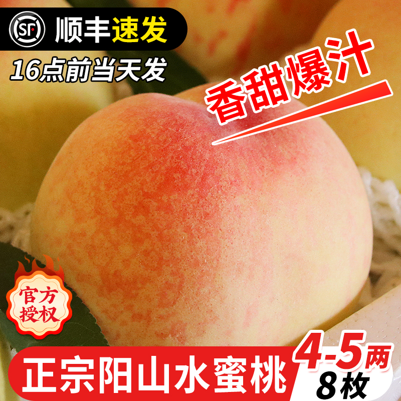 【4-5两】8枚正宗无锡阳山蜜桃新鲜水果当季整箱应白凤湖景桃子毛桃