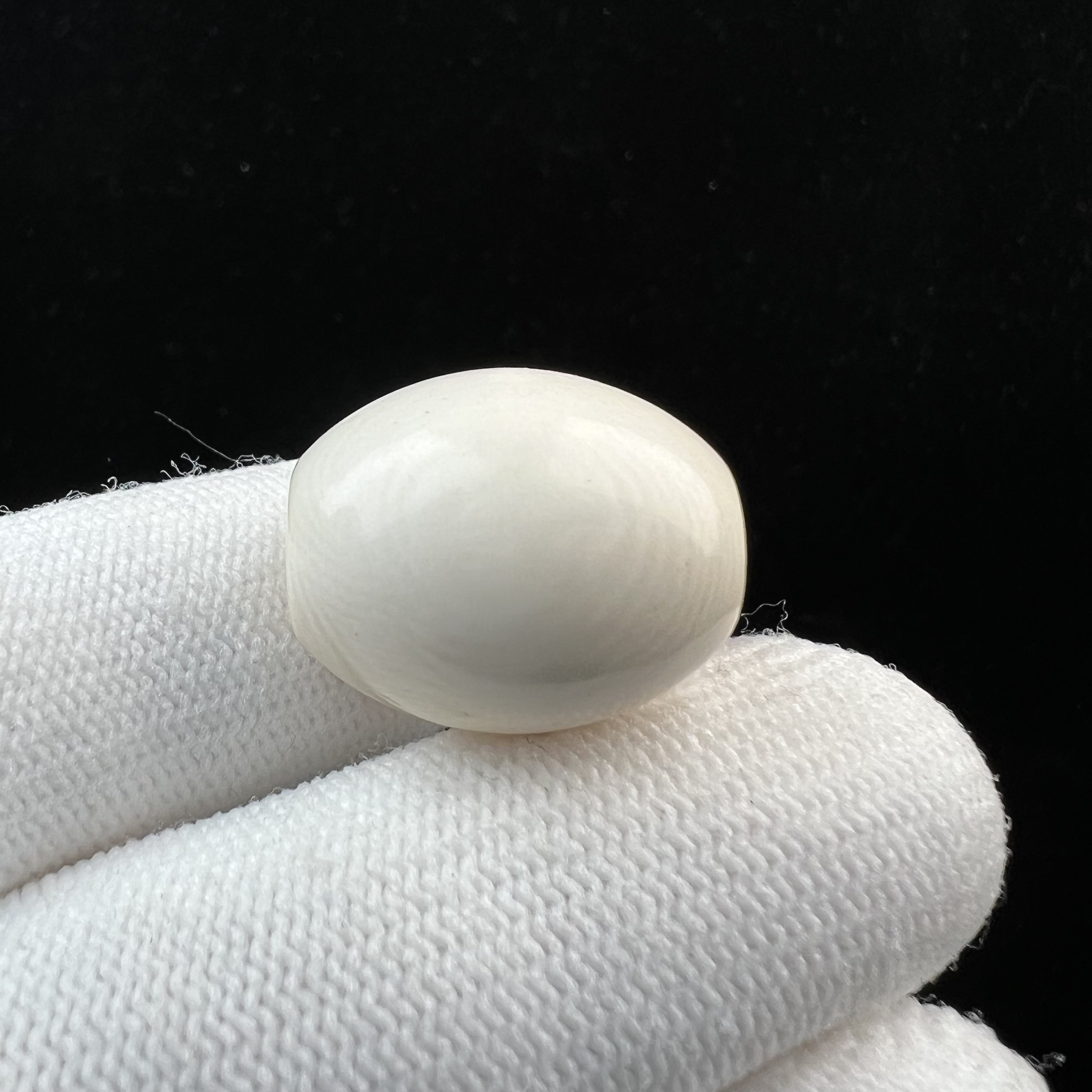 X8584天然猛犸牙 枣珠 桶珠 墩子 17.8*21.5mm支持鉴定 假一罚四