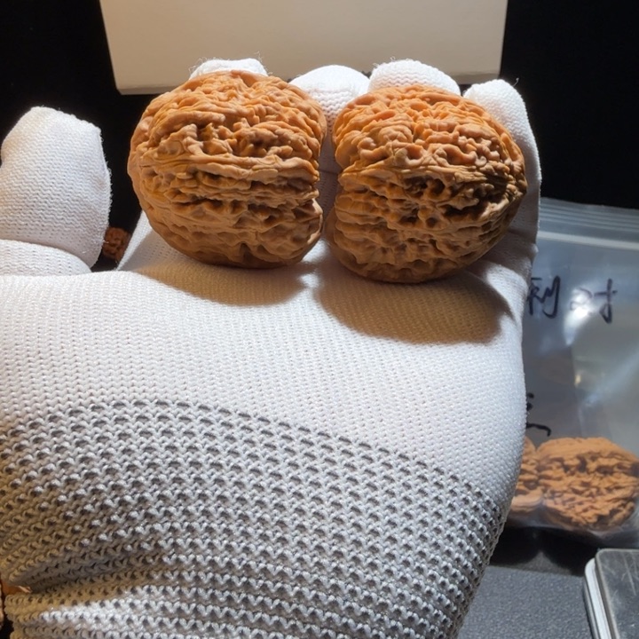 文玩核桃把件真**洲5号，40万字卷边球疆