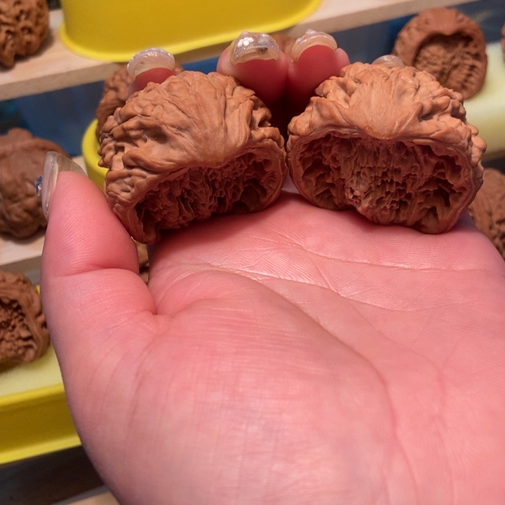 官方网站也将陆续