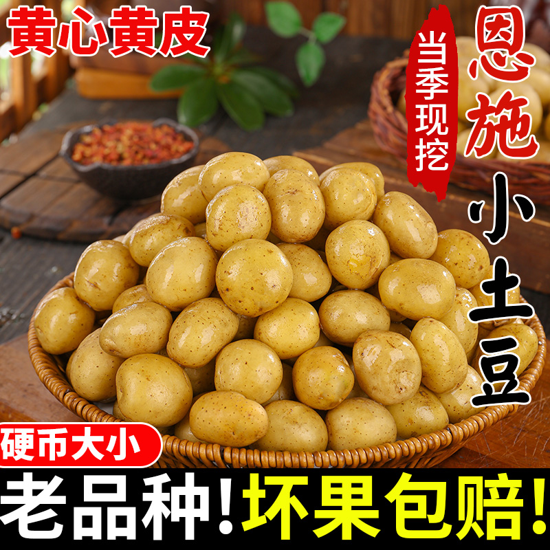 湖北恩施小土豆新鲜蔬菜水果马铃薯正宗黄心薄皮土豆洋芋现挖