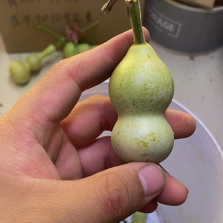 迷**活长嘴哈哈哈哈哈哈哈哈哈哈哈