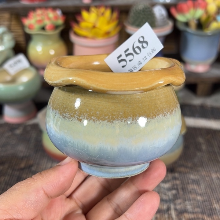 口6 手工花盆满30包邮