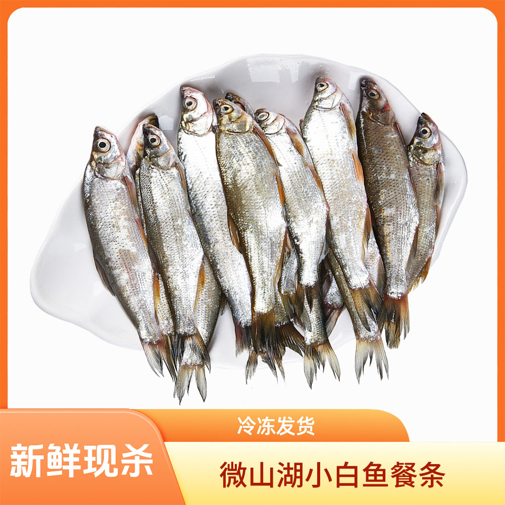 微山湖新鲜淡水湖鱼白鱼小翘嘴白条鱼餐条刁子鱼活鱼现杀顺丰