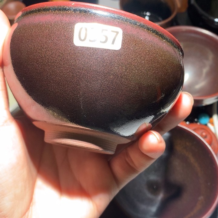 蜥***蜴茶盏建窑建盏龙窑柴烧