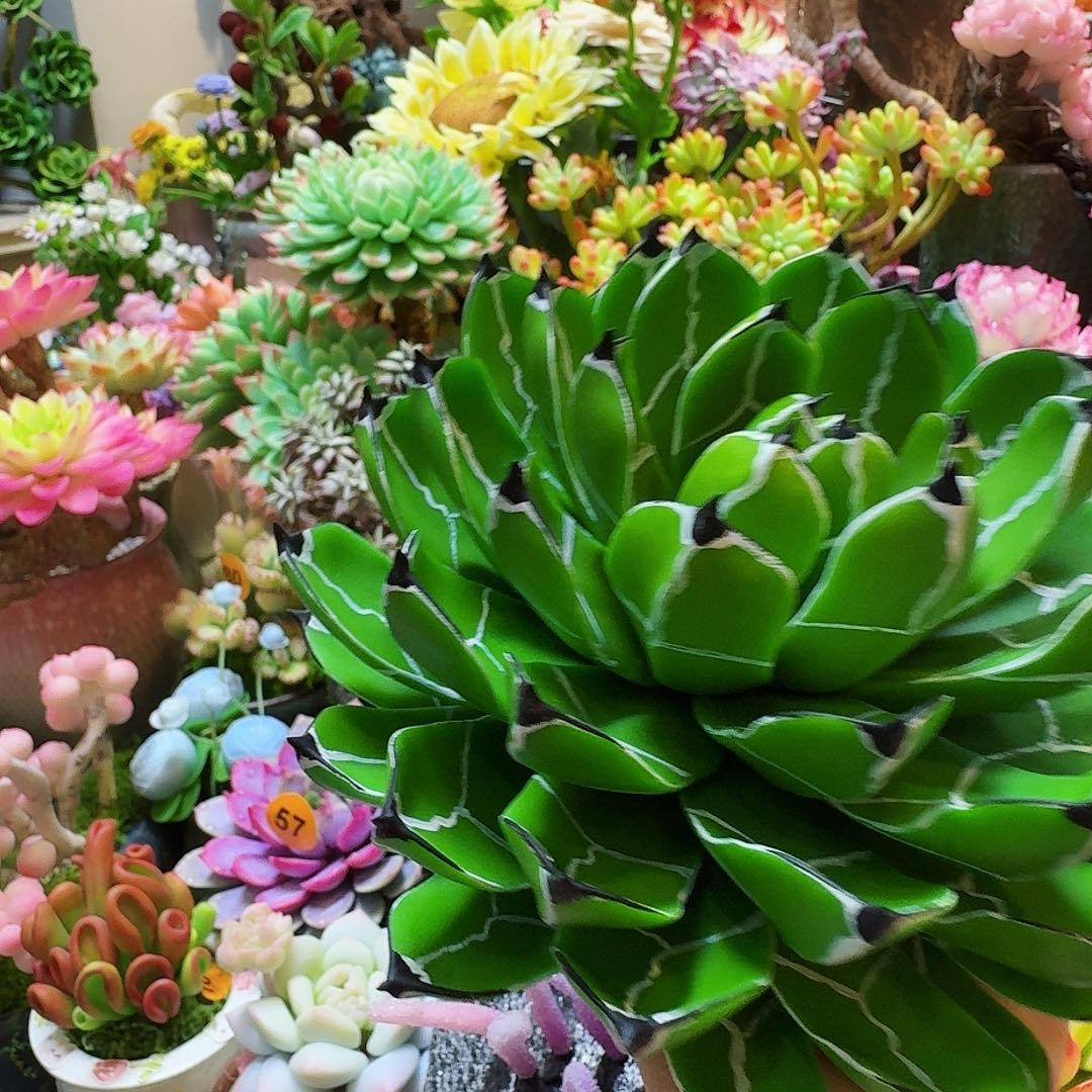 梦***泪77633454335234553