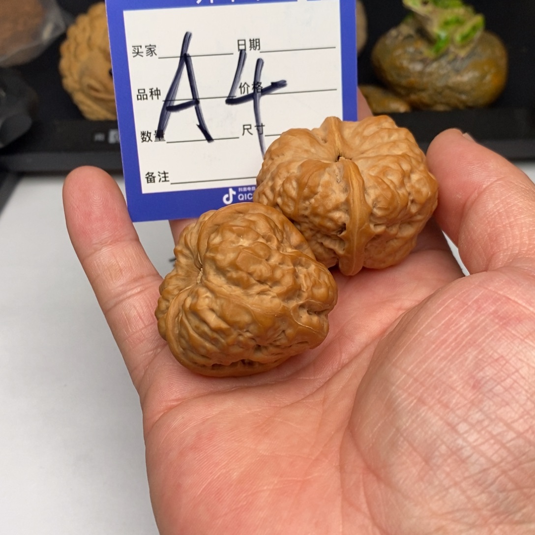 E***n核桃手串/手链A4蛤蟆头