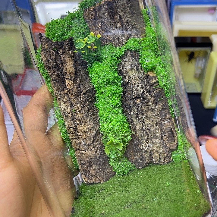 ～***～哈哈哈哈哈哈哈哈哈哈哈哈哈哈哈哈