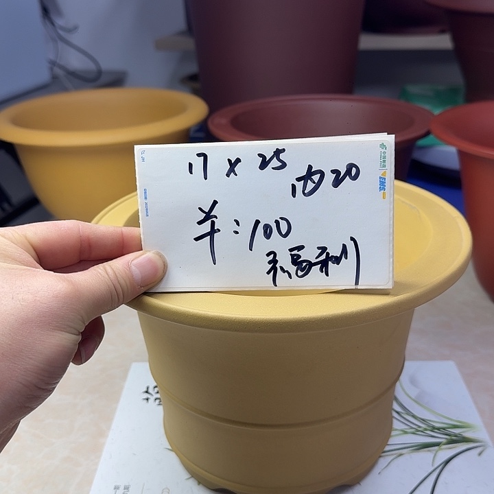 春秋花盆精品兰盆