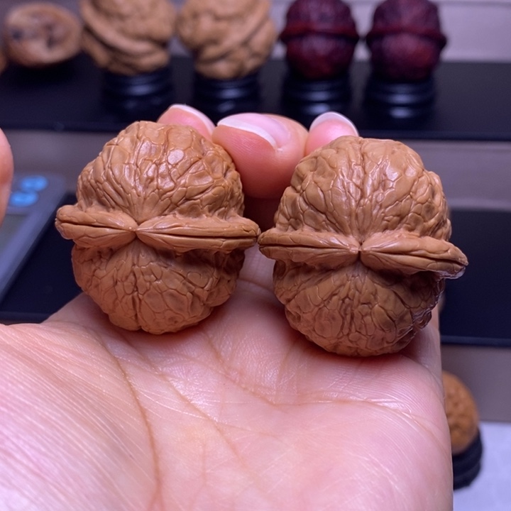 文玩核桃把件金龟玉甲25