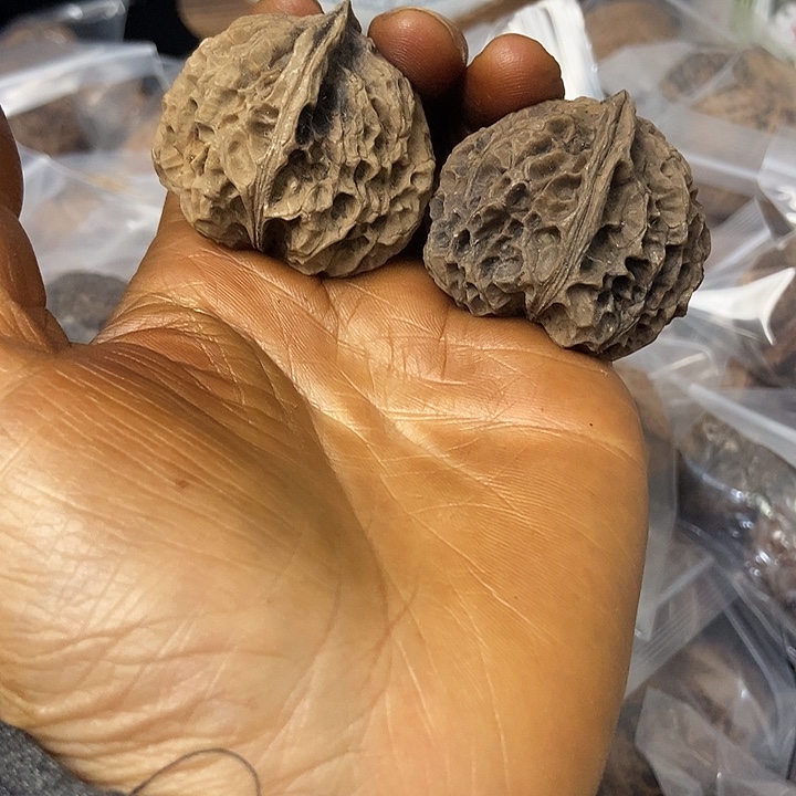 把件文玩核桃云南铁核桃基地5