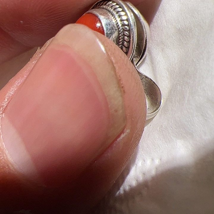 香榧木在这里的时候