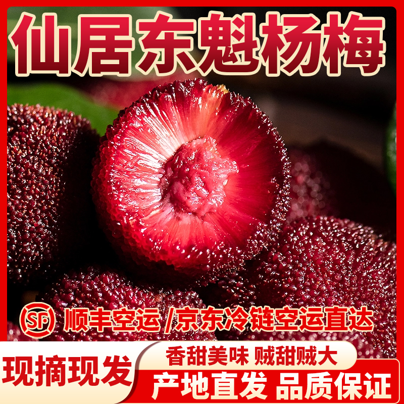 明日必达【仙居高山东魁杨梅】新鲜大果现摘现发氮气包装礼盒当季特级特大果饱满杨梅同城送浙江省