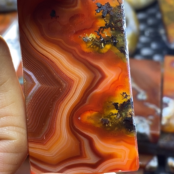 玛瑙/玉髓颈饰足银镀金镶嵌豆*