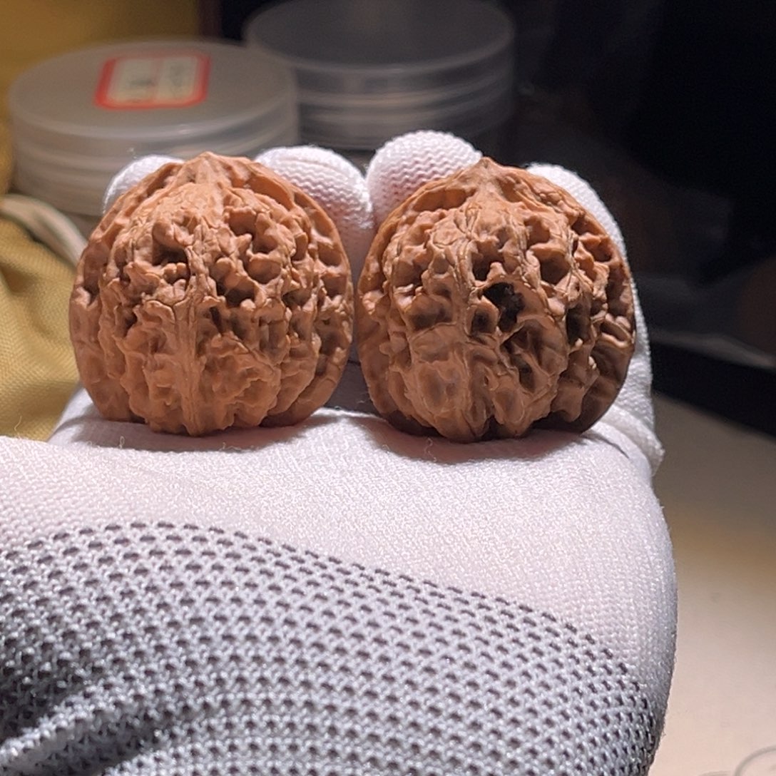 埃***文全品 39苹果 苹果 