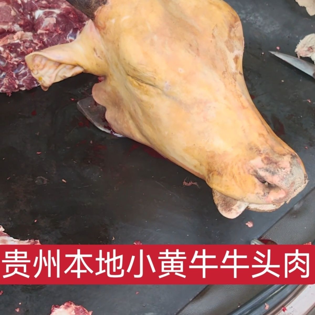 贵州本地小黄牛牛头肉