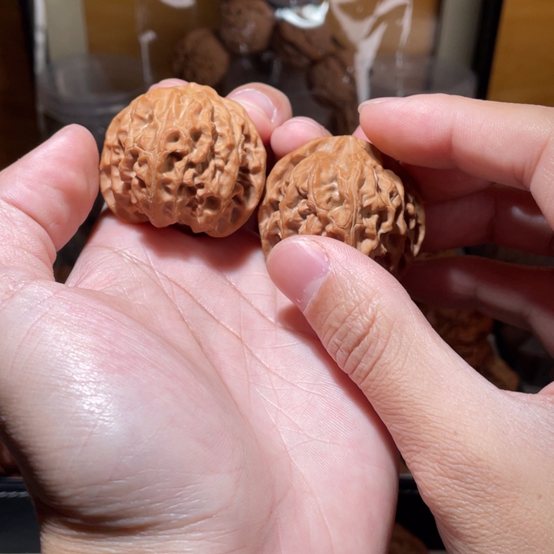 40尺寸全品无修苹果园