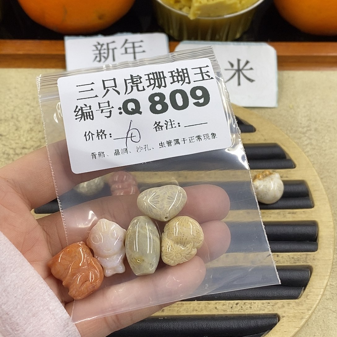 硅化珊瑚（珊瑚玉）1未镶嵌卿*