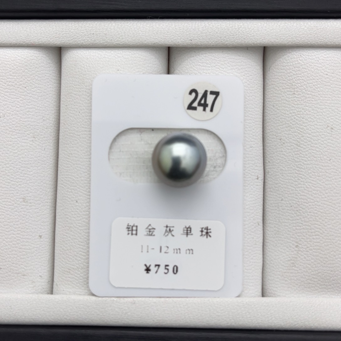 海水珍珠铂金灰未镶嵌