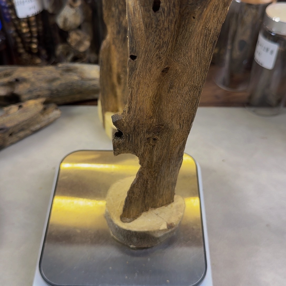 沉香沉香碎屑乌身圆叶虫漏香105克