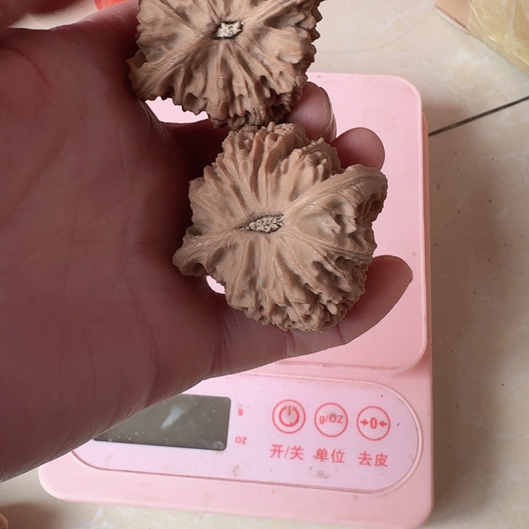 龙**舞全品南疆石狮子头