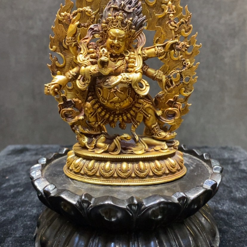 【闪购商品】炉兆*福利福利福利福利