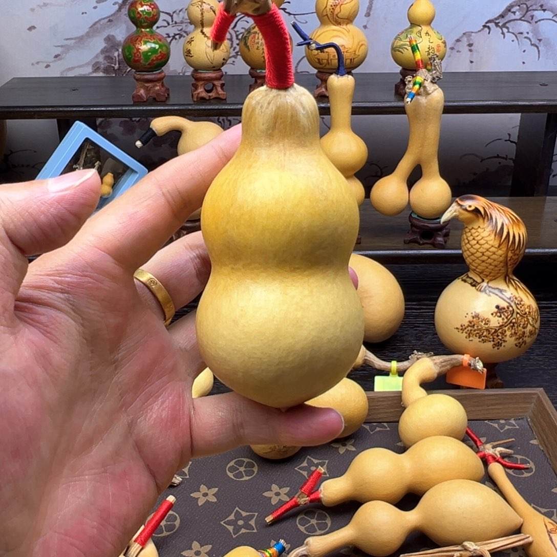 @**生精品花头胖蚂蚁