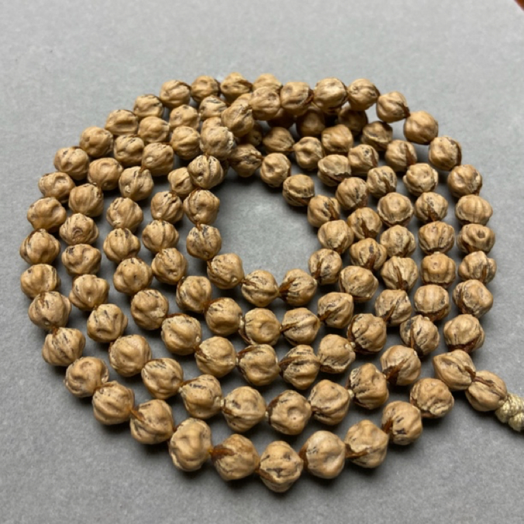 爆肉多棱纯原桩百香籽 红芽油皮