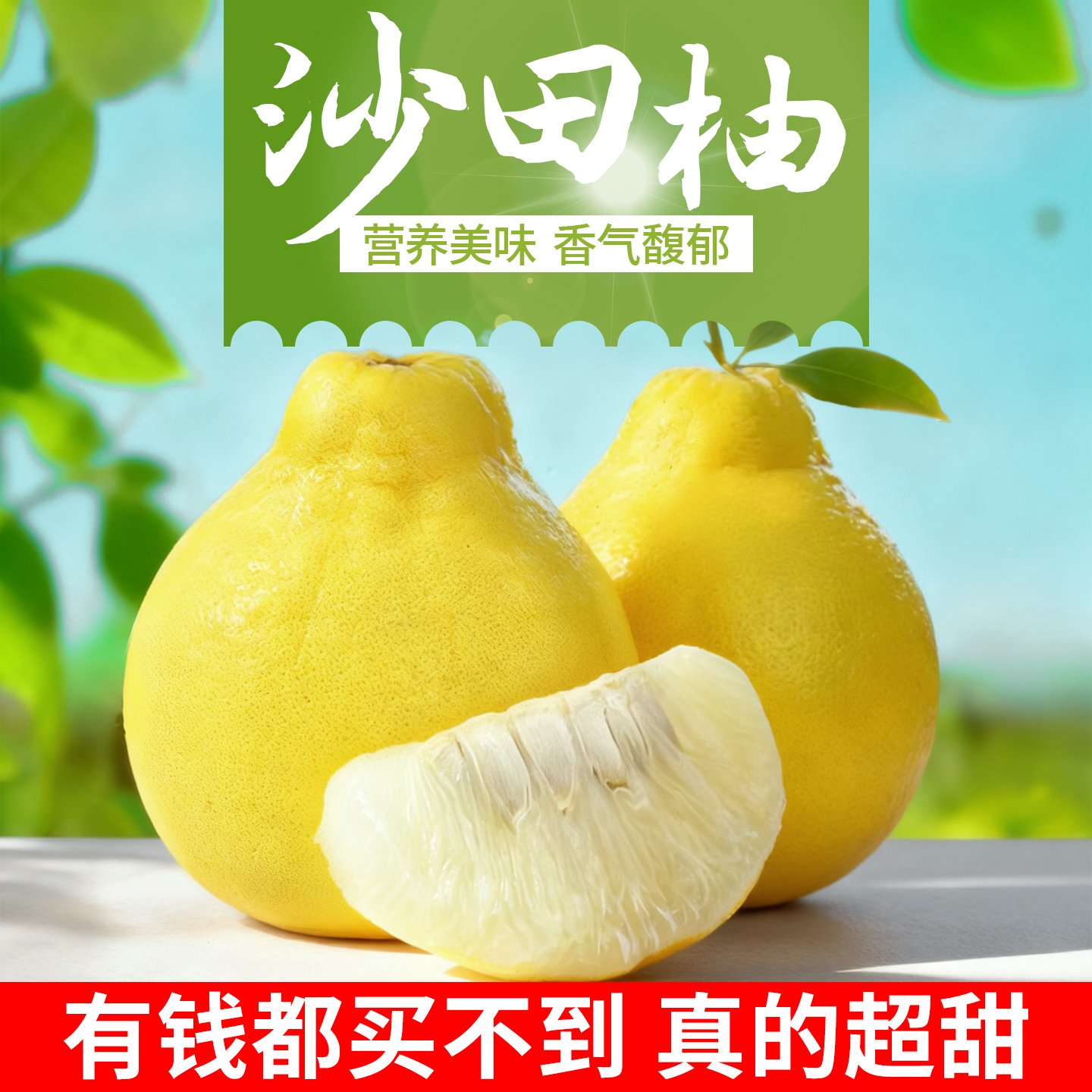 正宗梅州（沙田柚）当季应季水果孕妇水果头茬果现摘现发一件包邮