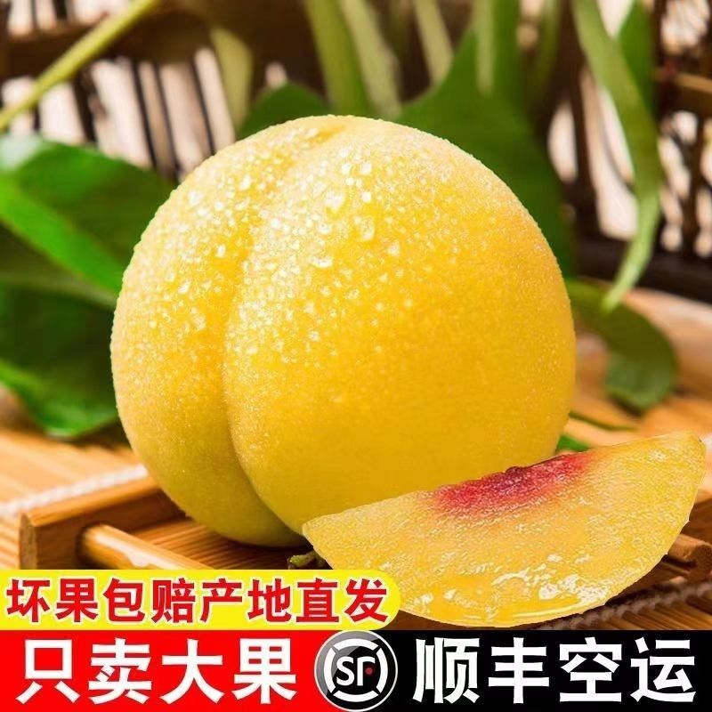 湘西黄桃大果9斤顺丰包邮