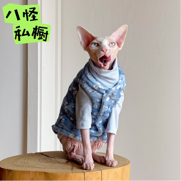 手工制作无毛猫德文猫加绒加厚双面双层蓝色小熊马甲