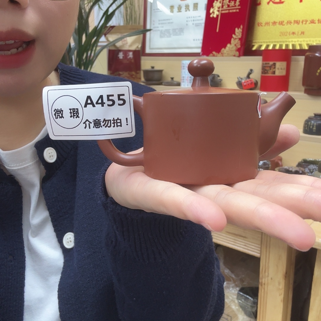 壶455 老韩坭兴陶