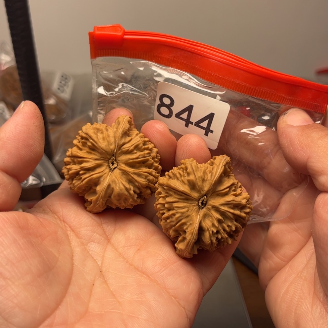 吊坠文玩核桃满天星40