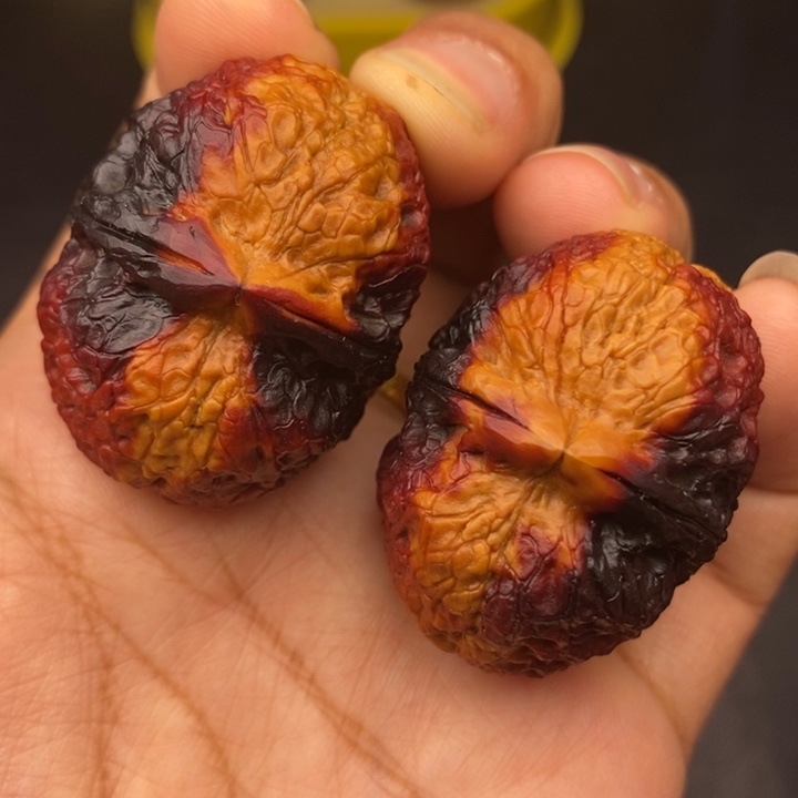 文玩核桃吊坠40尺金蟒元宝