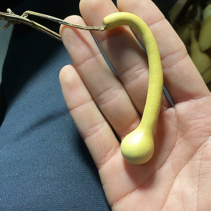 为**子1111111111啊我的微博视频