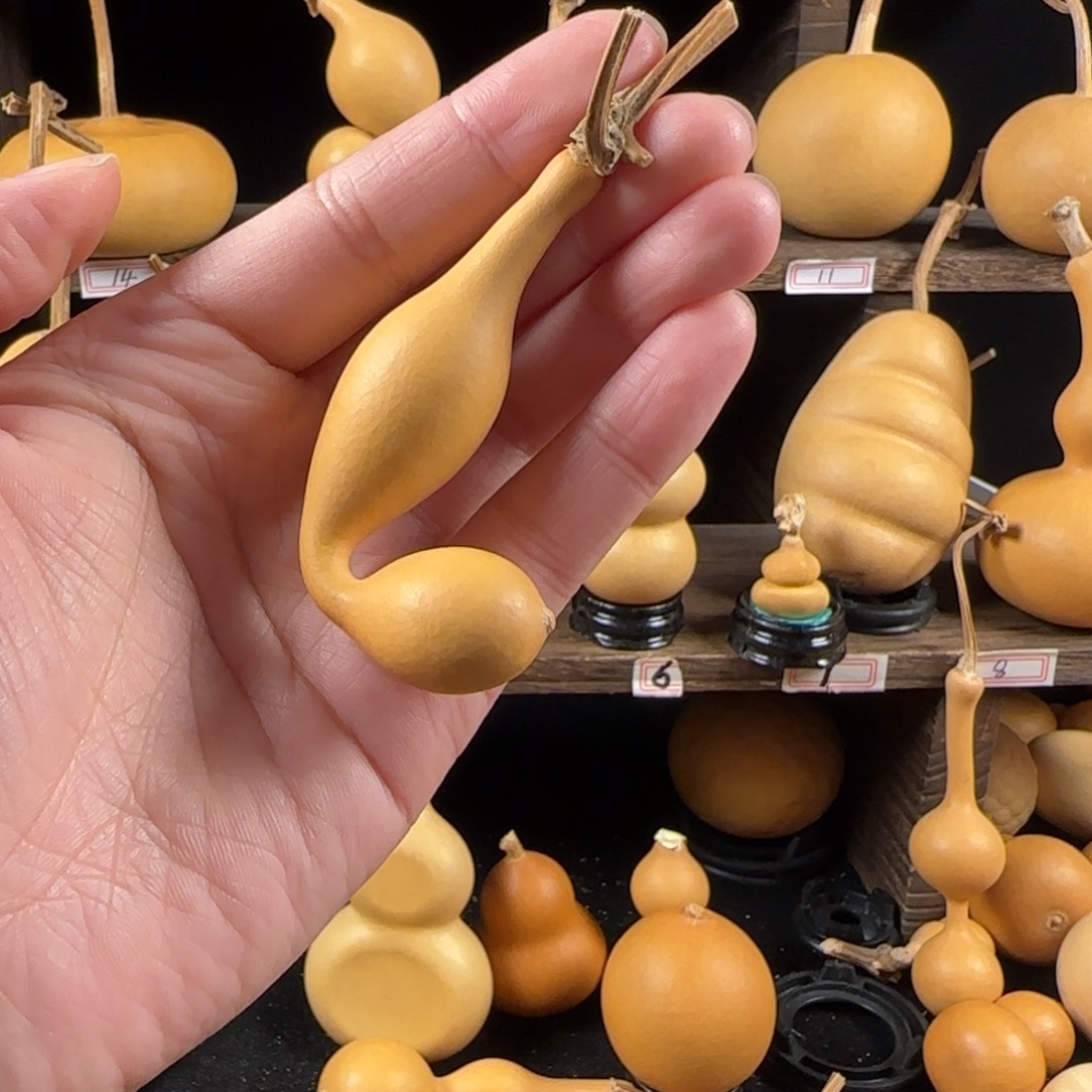 满***辰葫芦葫芦葫芦葫芦葫芦