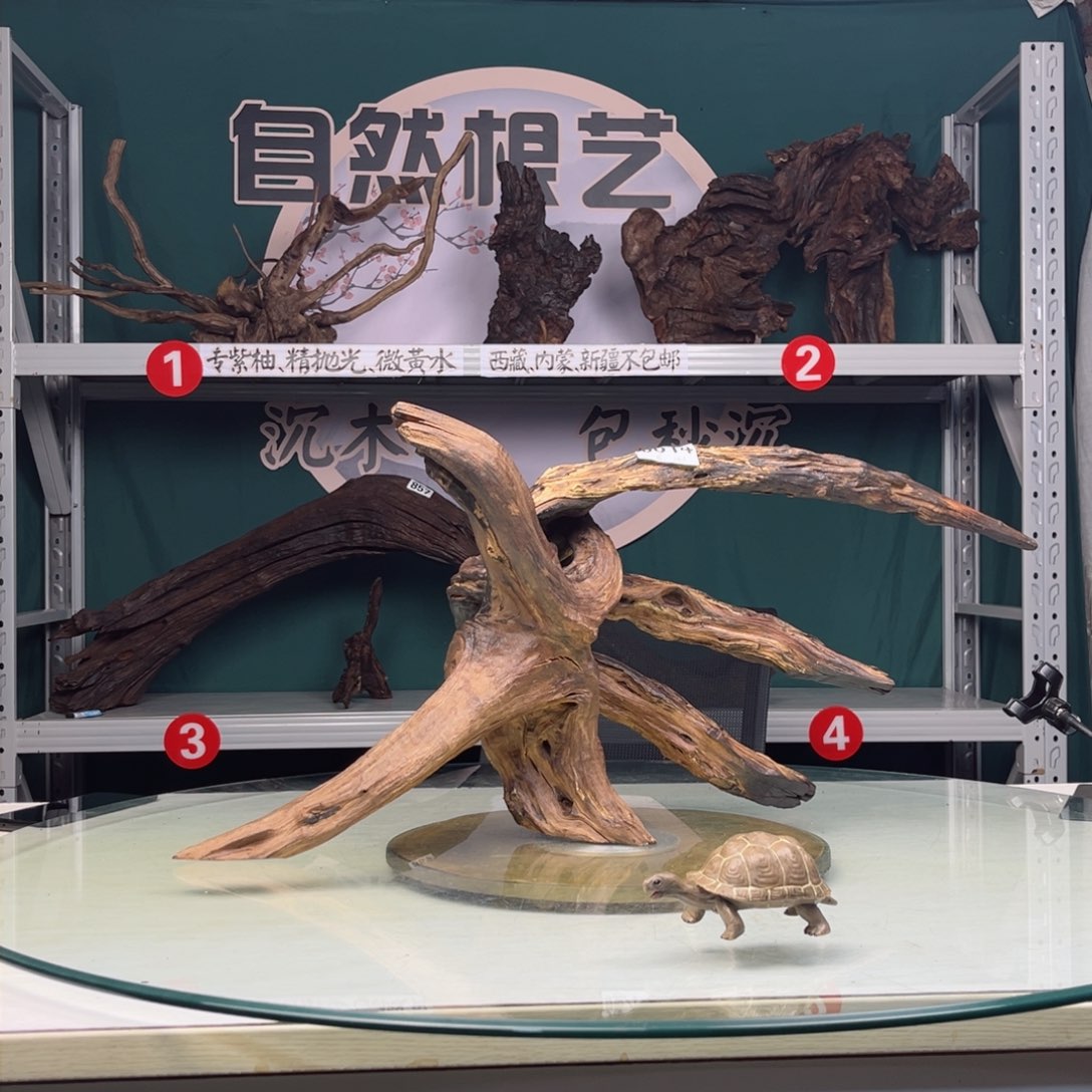 核桃木/黑胡桃（胡桃木）墨*伍14