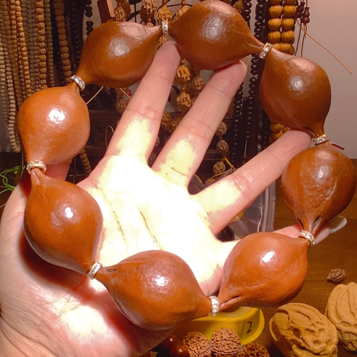 野生巴西大橄榄核手持