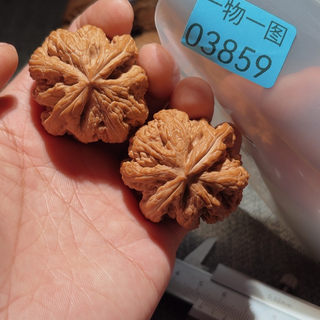 把件文玩核桃粗筋