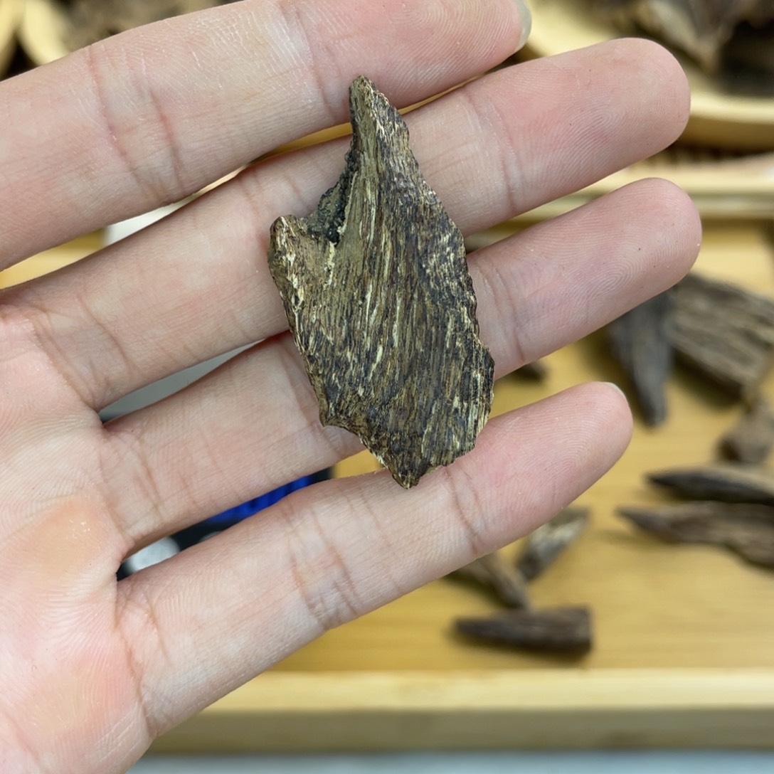 沉香碎屑沉香海南树心虫1.2克